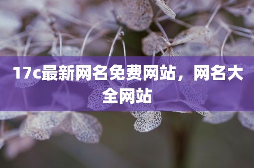 17c最新网名免费网站，网名大全网站