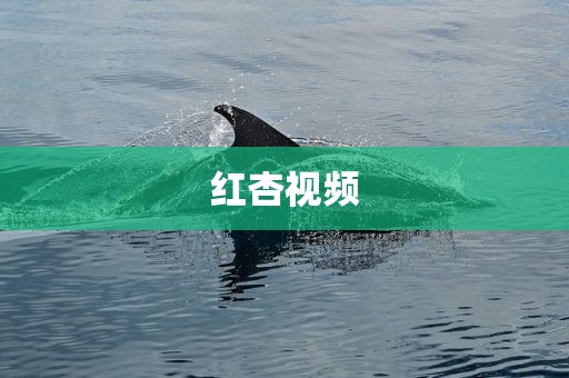 红杏视频