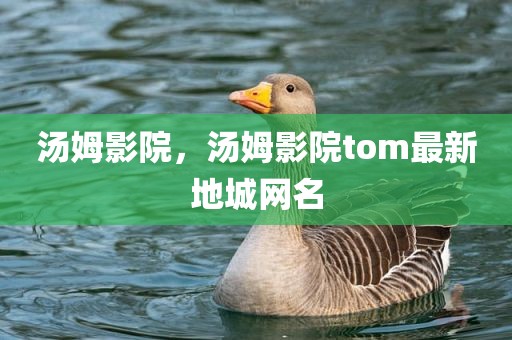 汤姆影院，汤姆影院tom最新地城网名