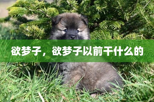欲梦子，欲梦子以前干什么的