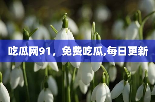 吃瓜网91，免费吃瓜,每日更新