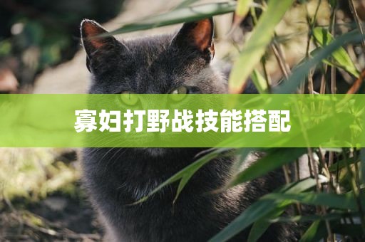 寡妇打野战技能搭配