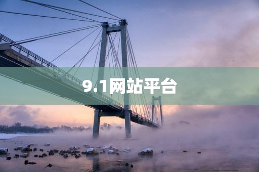 9.1网站平台