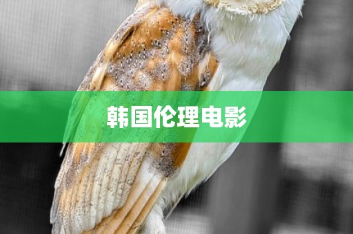 韩国伦理电影
