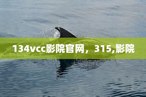 134vcc影院官网，315,影院
