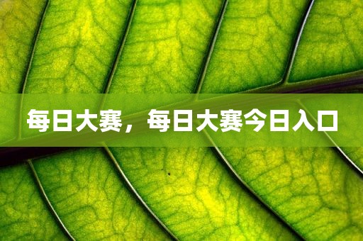 每日大赛，每日大赛今日入口