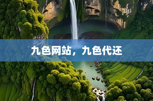 九色网站，九色代还