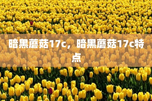 暗黑蘑菇17c，暗黑蘑菇17c特点