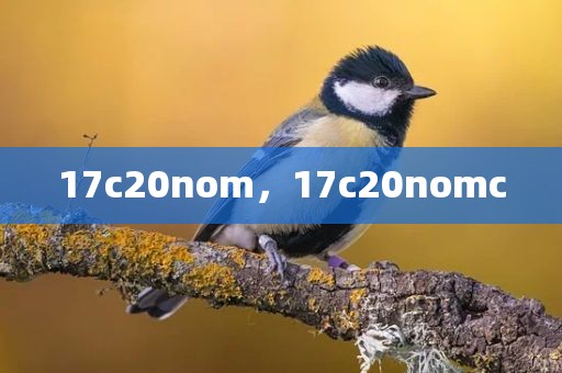 17c20nom，17c20nomc