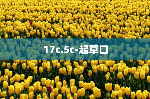17c.5c-起草口