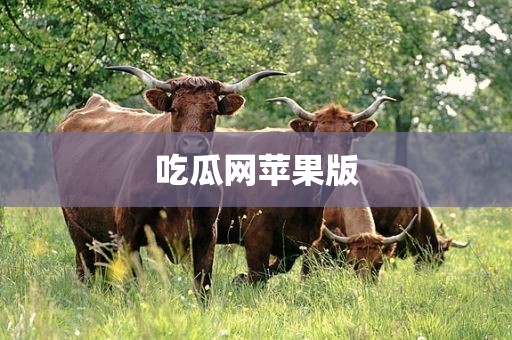 吃瓜网苹果版