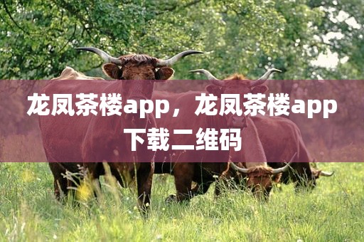 龙凤茶楼app，龙凤茶楼app下载二维码