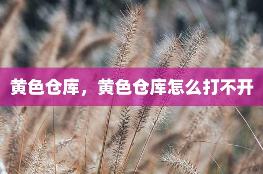 黄色仓库，黄色仓库怎么打不开