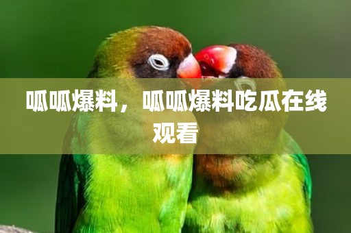 呱呱爆料，呱呱爆料吃瓜在线观看