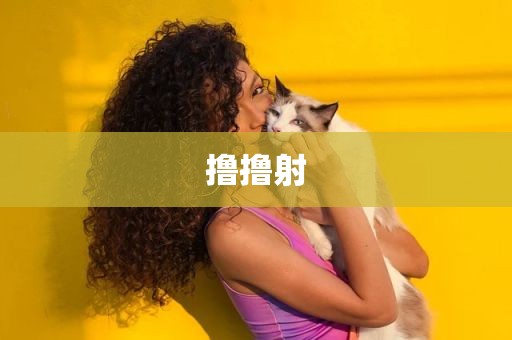 撸撸射