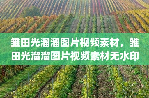 雏田光溜溜图片视频素材，雏田光溜溜图片视频素材无水印