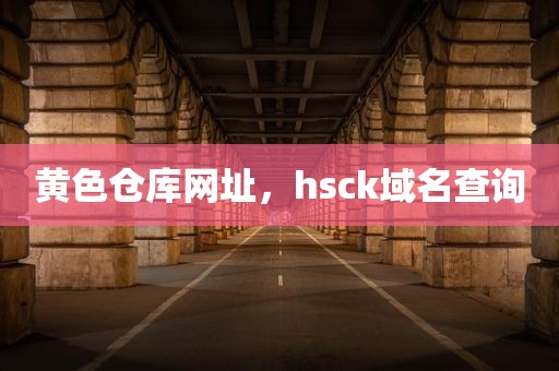 黄色仓库网址，hsck域名查询