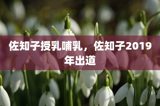 佐知子授乳哺乳，佐知子2019年出道