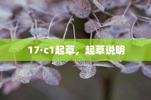 17·c1起草，起草说明