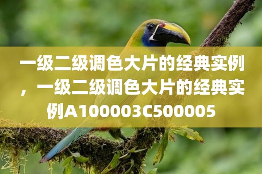 一级二级调色大片的经典实例，一级二级调色大片的经典实例A100003C500005
