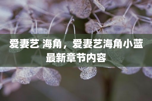 爱妻艺 海角，爱妻艺海角小蓝最新章节内容