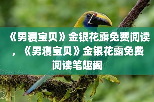 《男寝宝贝》金银花露免费阅读，《男寝宝贝》金银花露免费阅读笔趣阁