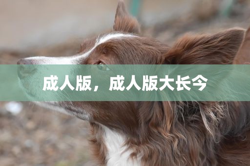 成人版，成人版大长今