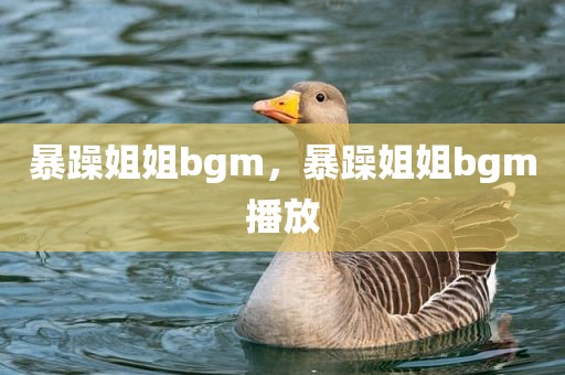 暴躁姐姐bgm，暴躁姐姐bgm播放
