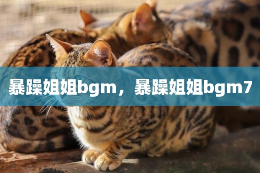 暴躁姐姐bgm，暴躁姐姐bgm7