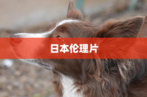 日本伦理片