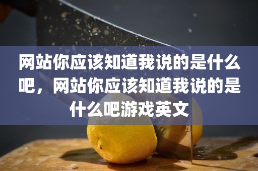 网站你应该知道我说的是什么吧，网站你应该知道我说的是什么吧游戏英文