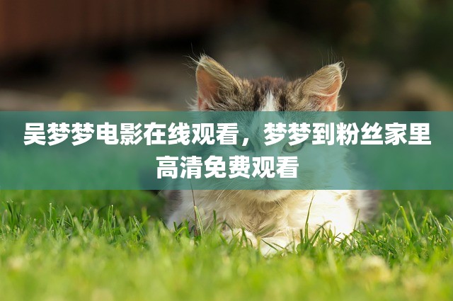 吴梦梦电影在线观看，梦梦到粉丝家里高清免费观看