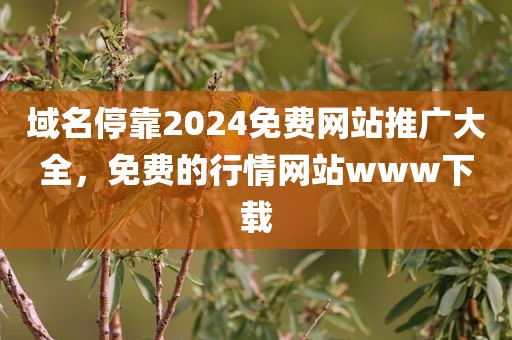 域名停靠2024免费网站推广大全，免费的行情网站www下载