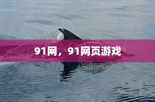 91网，91网页游戏