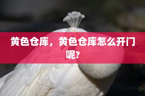 黄色仓库，黄色仓库怎么开门呢?