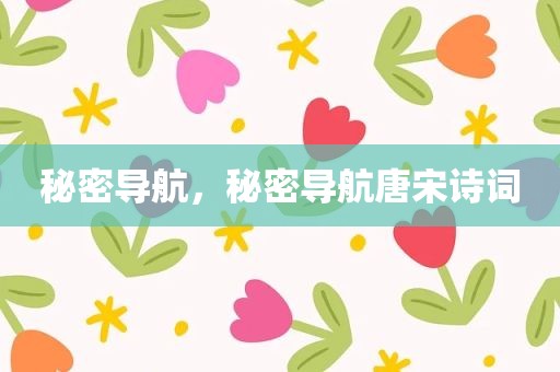 秘密导航，秘密导航唐宋诗词