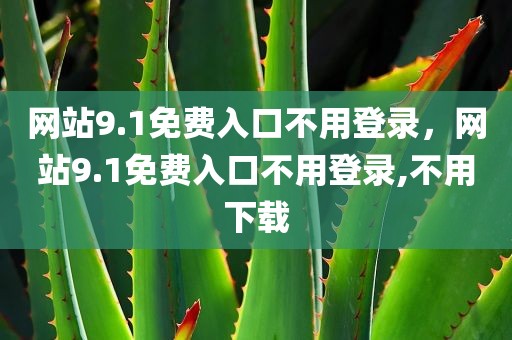 网站9.1免费入口不用登录，网站9.1免费入口不用登录,不用下载