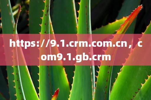 https://9.1.crm.com.cn，com9.1.gb.crm