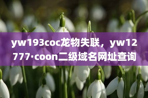 yw193coc龙物失联，yw12777·coon二级域名网址查询