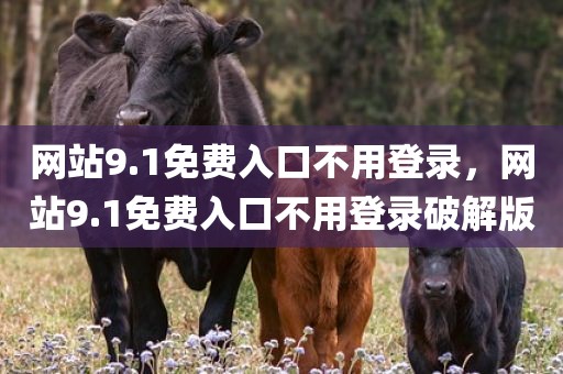 网站9.1免费入口不用登录，网站9.1免费入口不用登录破解版