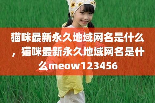 猫咪最新永久地域网名是什么，猫咪最新永久地域网名是什么meow123456