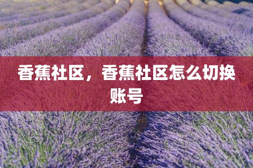 香蕉社区，香蕉社区怎么切换账号