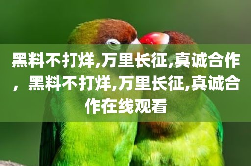 黑料不打烊,万里长征,真诚合作，黑料不打烊,万里长征,真诚合作在线观看