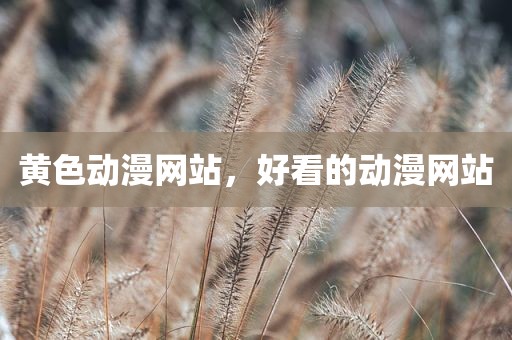 黄色动漫网站，好看的动漫网站