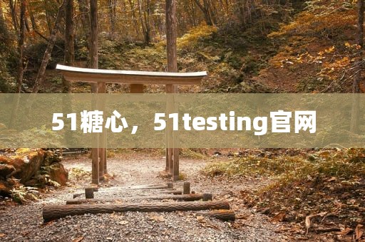 51糖心，51testing官网