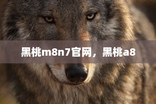 黑桃m8n7官网，黑桃a8