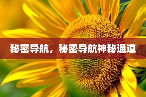 秘密导航，秘密导航神秘通道