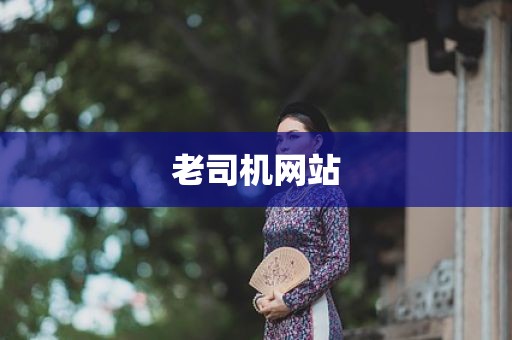 老司机网站
