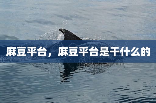 麻豆平台，麻豆平台是干什么的