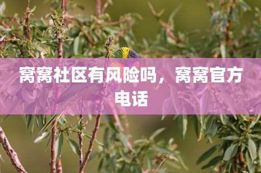 窝窝社区有风险吗，窝窝官方电话